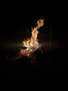 img 8683